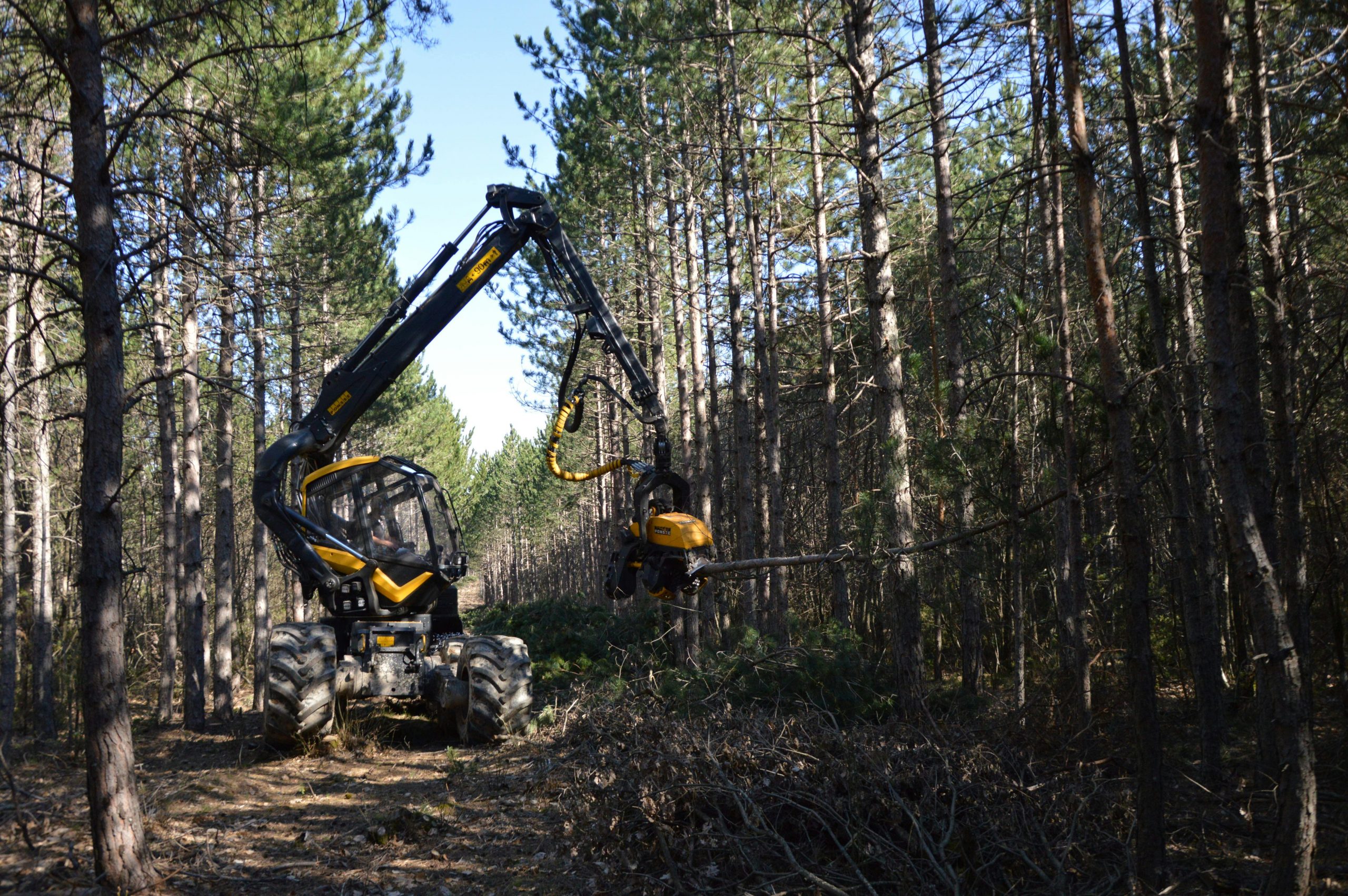 Operator using log handler to move timber in forest during NPORS N106 training
